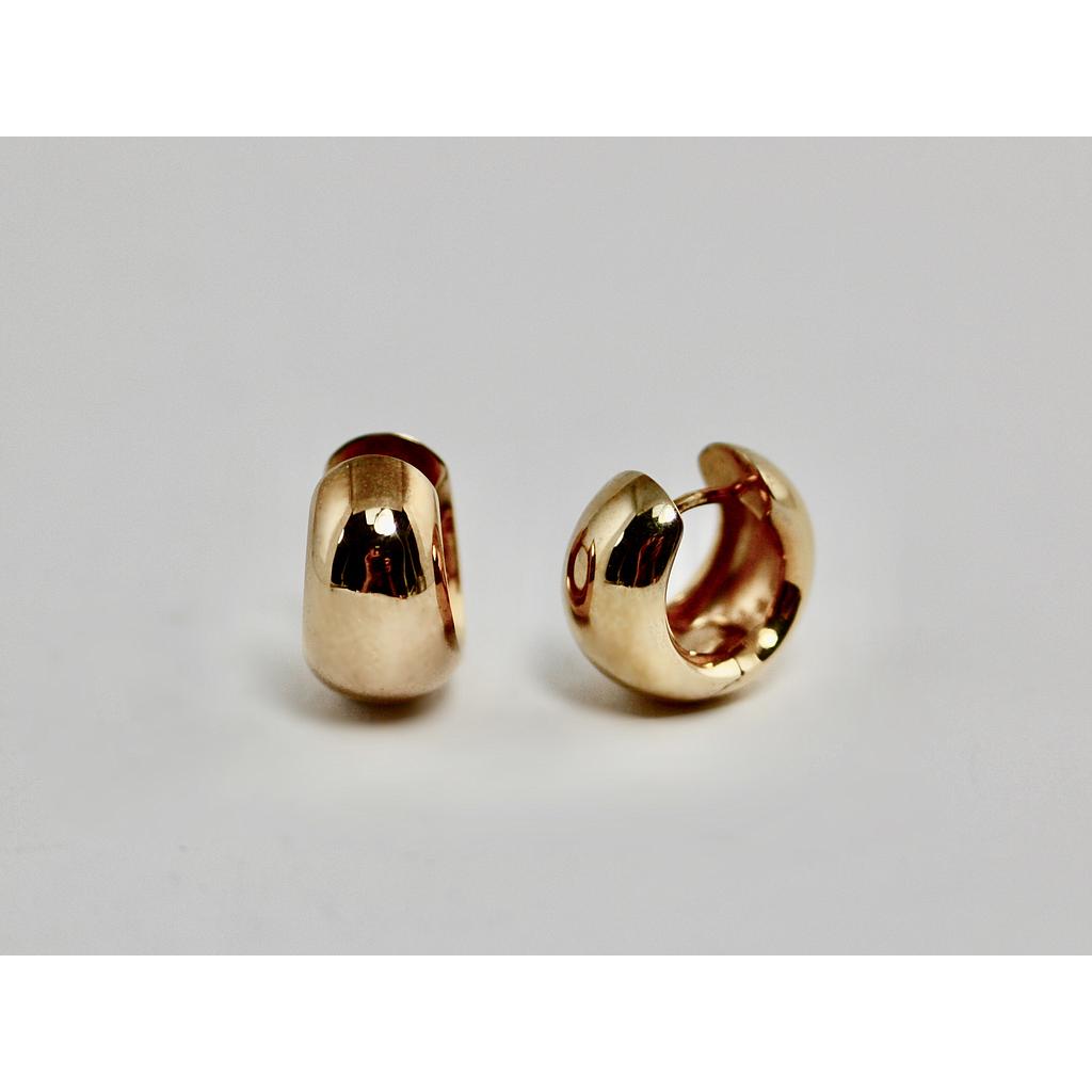 Ohrringe 731 (VK 190,-€) - unser Angebot abzüglich 35% Aktion