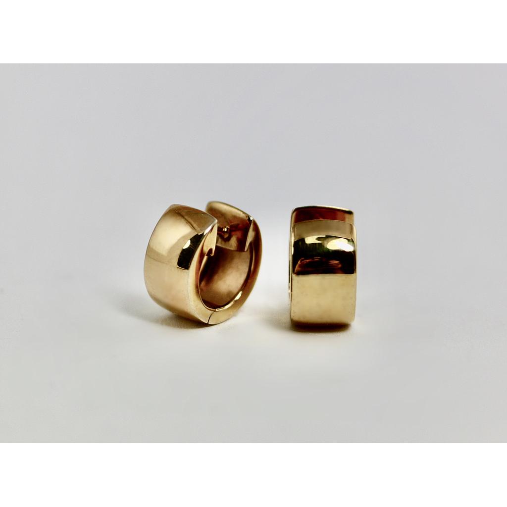 Ohrringe 732 (VK 190,-€) - unser Angebot abzüglich 35% Aktion